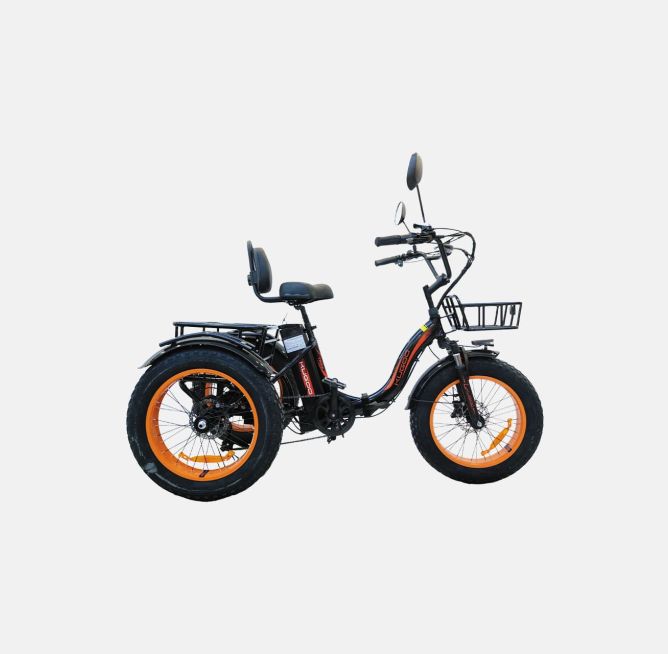 Kugoo Trike
